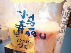 -春丽小马(济南恒隆广场店)
