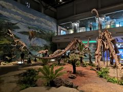 -自贡恐龙博物馆