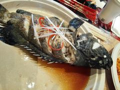 -盒马X会员店(王府井奥莱UP TOWN店)