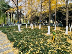 -宝岛公园