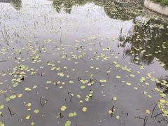 -阳澄湖半岛旅游度假区