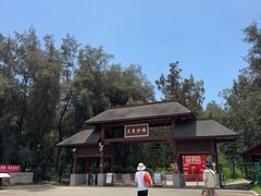 -大京沙滩