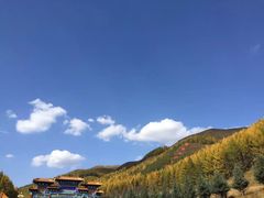 -塞罕坝国家级自然保护区