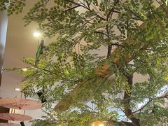 -九田家黑牛烤肉料理(珠江摩尔店)