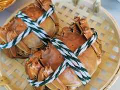 大闸蟹-丫丫蟹庄·苏式园林农家乐·阳澄湖大闸蟹(阳澄湖莲花岛店)