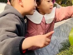 -曲江大雅幼儿园·托育(西安市雁塔区店)