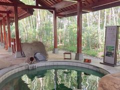 -天目湖御水温泉·度假酒店