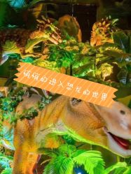 -恐龙探索乐园(磁器口店)