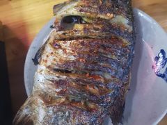 -晓靖轩烧烤(沙河风情店)