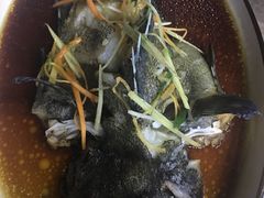 清蒸石斑鱼-琼大师东方烤乳猪(亚特兰蒂斯店)