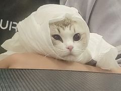 -宠物家(角门东店)