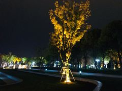 -葛仙湖公园