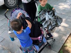 -石家庄市动物园