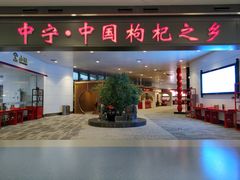 -银川河东国际机场
