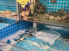 -韩记海鲜饺子旗舰店(红海新区店)