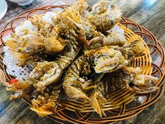 椒盐濑尿虾-九號渔港·蒸汽海鲜·粤菜茶点(八卦岭店)