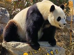 -动物园(地铁站)