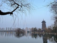 -洋湖国家湿地公园