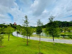 -东莞植物园