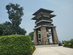 -大湾区中央湿地公园