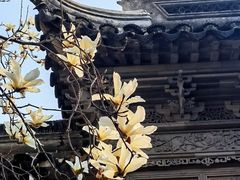 -白塘生态植物园