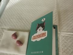 -瑞派宠物医院·犬猫全科·猫友好(宾水西道店)