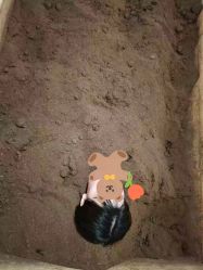 -茉秀必瘦站