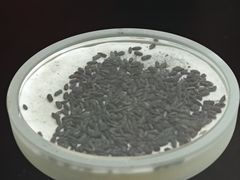 -河姆渡遗址博物馆