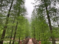 -广州市石门国家森林公园
