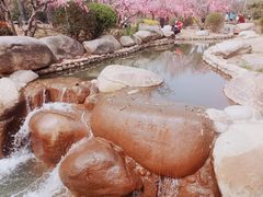 -诗经里