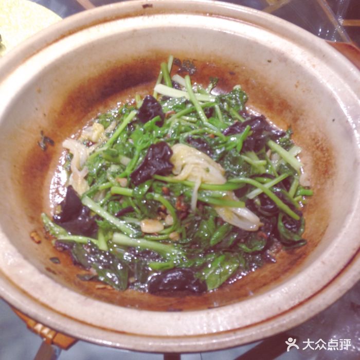 映像烟台砂锅野菜图片 - 第20张