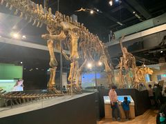 -墨尔本博物馆(Melbourne Museum)