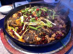 -老板恋上鱼(恒隆广场店)