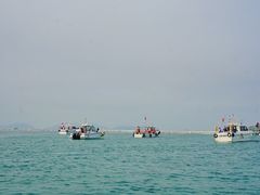-枸杞岛