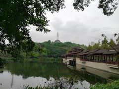 -重庆彩云湖湿地公园