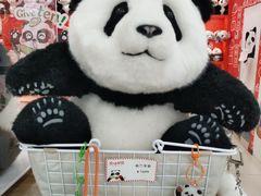 -熊猫邮局(少城店)