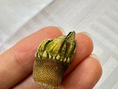 -万山楼海鲜酒家·二十三年老字号