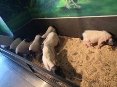 -昆明大悦城未来动物城(螺蛳湾中心店)