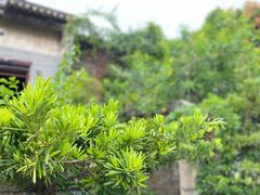 -三溪村