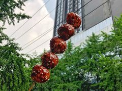 -邓记新一代糖油果子(四川煤管局供销公司职工宿舍店)