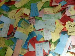 -志龙皇冠吃货椰子铺
