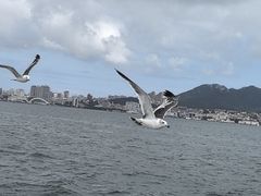 -刘公岛景区