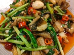 -紫滇源云南生态菜(丹凤街店)