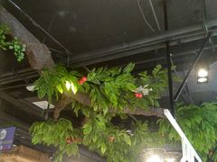 -蕃茄述·好汤自然来(江汉路店)