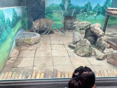 -昆明动物园