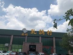 -石岐乳鸽村(南海第三分店)