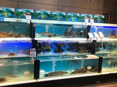水产区-盒马鲜生(杭州运河上街店)