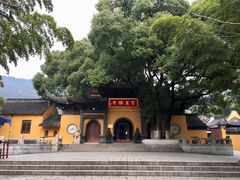 -宝岩生态观光园