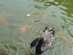 -海南热带野生动植物园