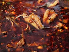 -八0一首创霍老七老螺蛳(万东镇龙景园店)